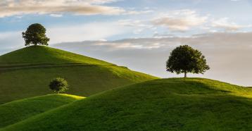 Landscape illustration, photo by Susanne Stöckli