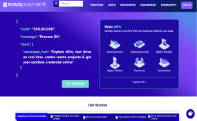 Novopayment Developer Hub home page screenshot