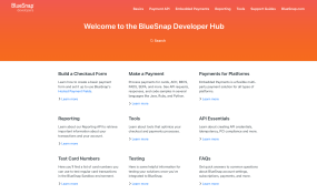 BlueSnap Developer Hub Home page screenshot
