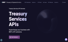BNY Treasury Services API Developer Portal Home page screenshot