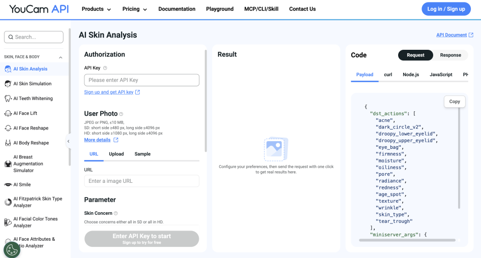 Screenshot of Perfect Corp. API Playground's header